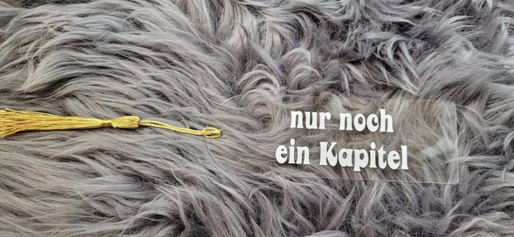 Lesezeichen